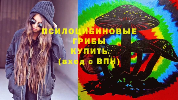 хмурый Майский