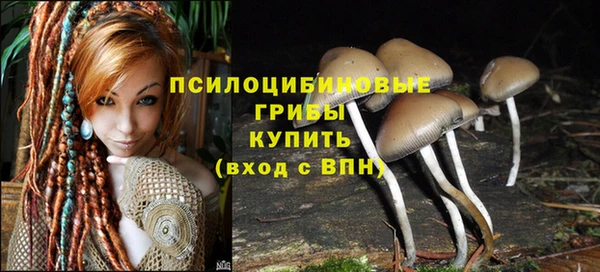 МДПВ Магадан